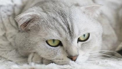 开云体育入口-九游娱乐官网——开启你的极致手游体验