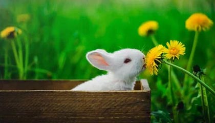 亚傅体育APP下载安装安装:开启你的专属运动新纪元